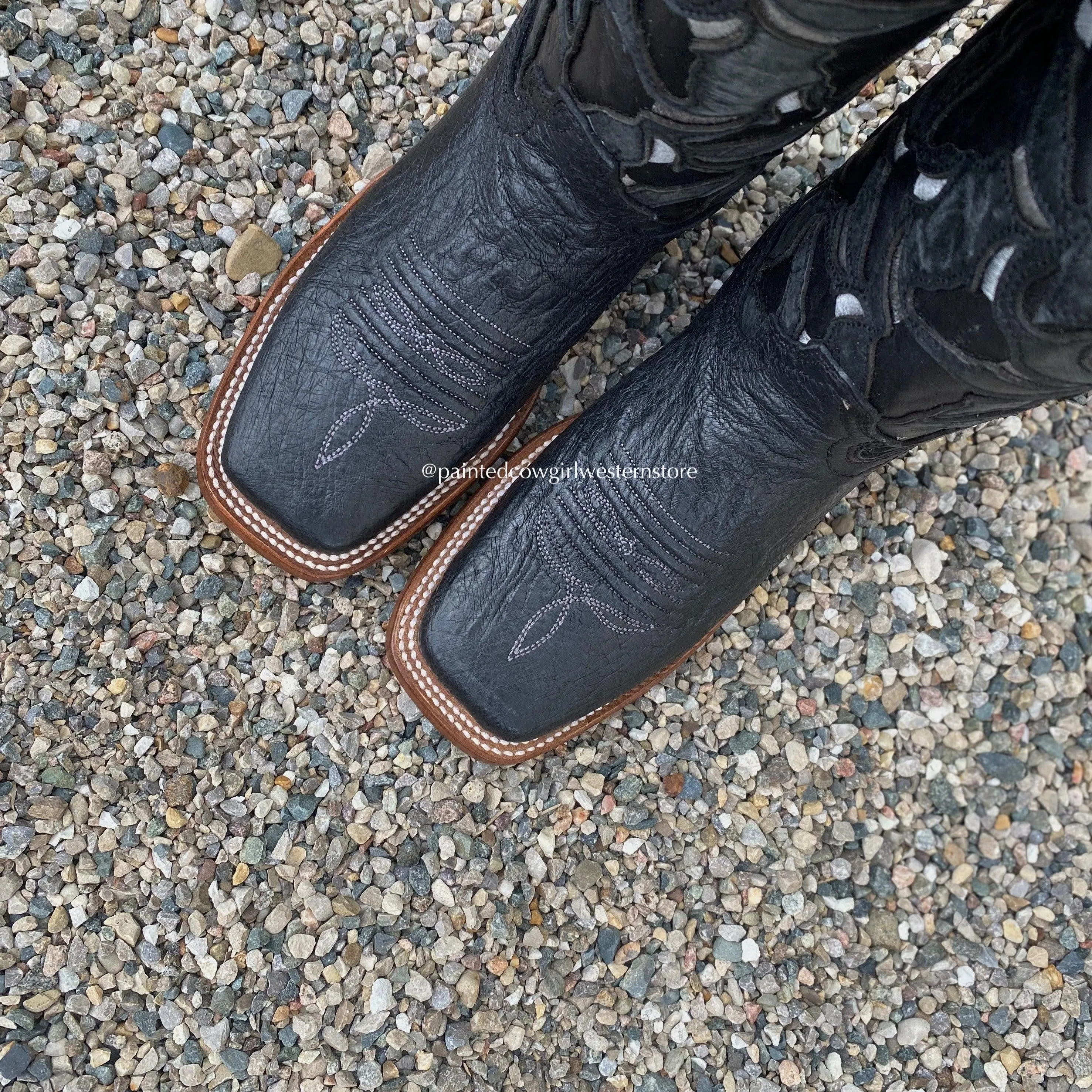 Corral Women's Black Smooth Quill Ostrich Steer Head Embroidered Square Toe Cowgirl Boots A4058