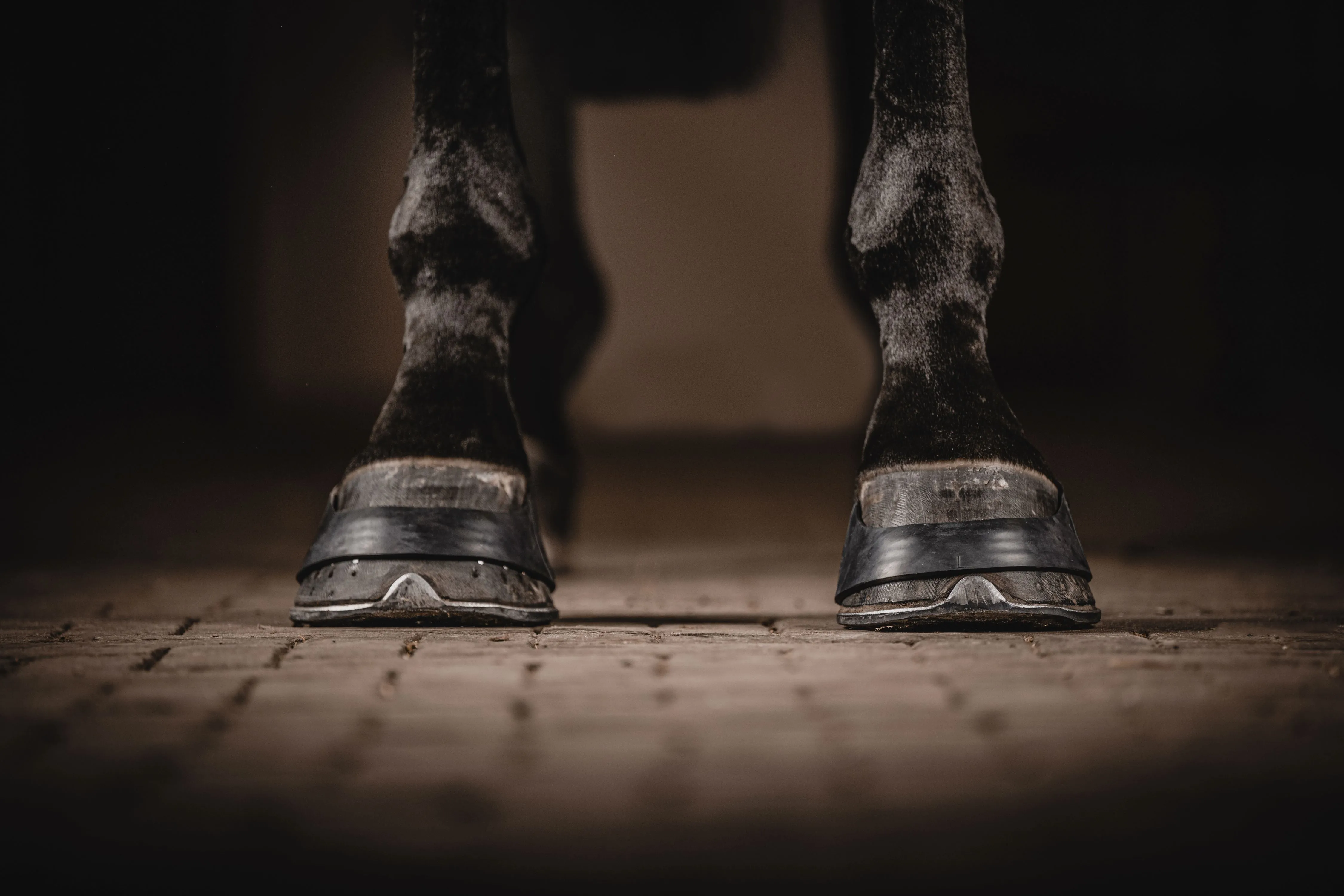 Rubber Hoof Bands