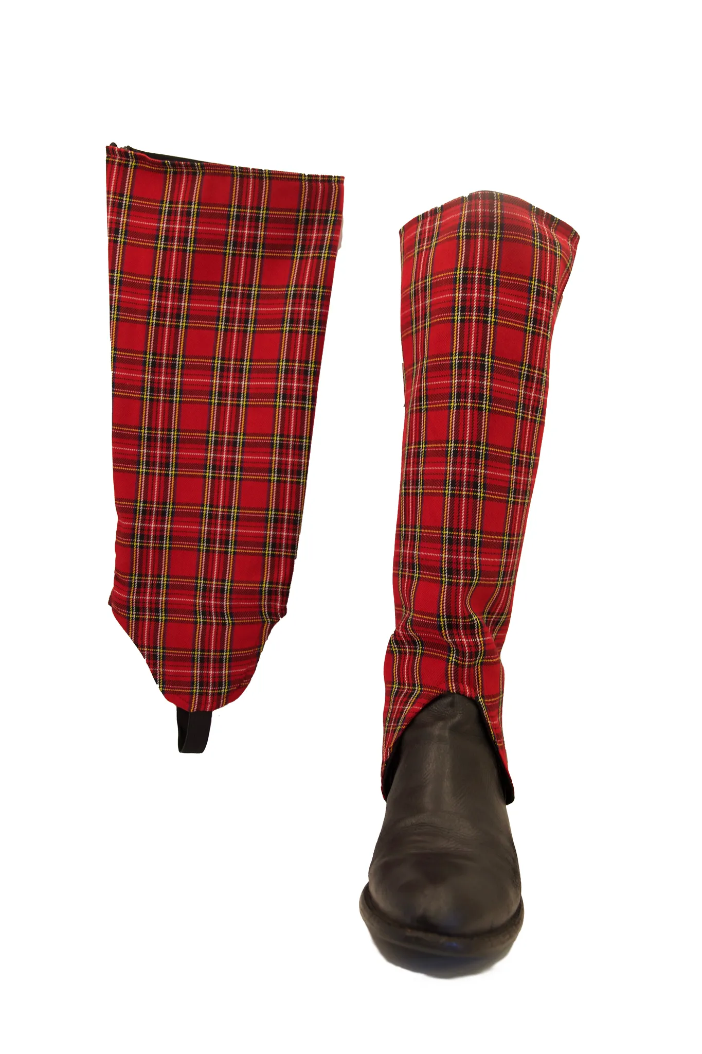 Scottish EQ - Red