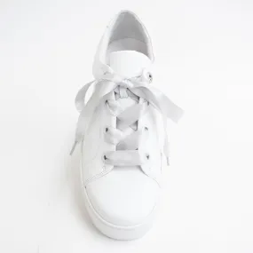Silver Satin Laces